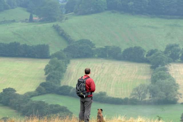 A walker and his dog, standing on the edge of Sutton Bank. PICTURE GERARD BINKS