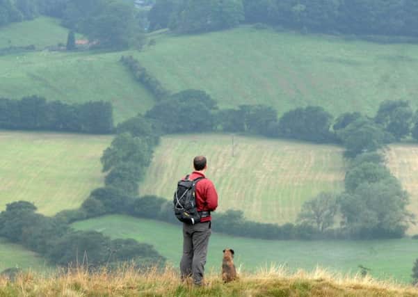 A walker and his dog, standing on the edge of Sutton Bank. PICTURE GERARD BINKS