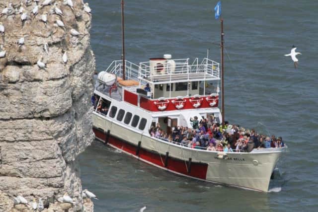 The RSPB Puffin and Gannet Cruises are run until Sunday 5 August.
