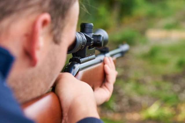 File picture: Air rifle