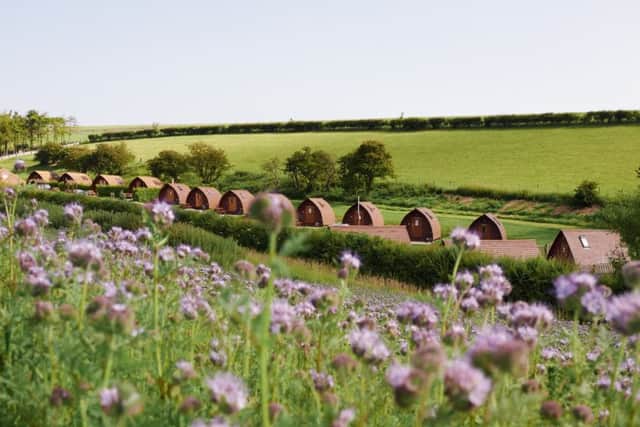 Humble Bee Farm Wigwams at Flixton.