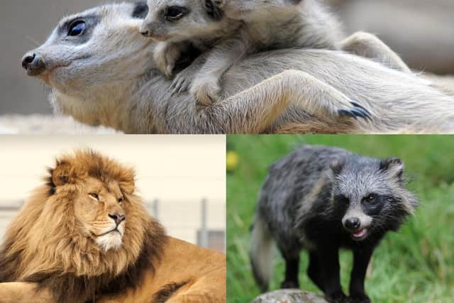 Yorkshire has a selection of intriguing and immersive wildlife experiences.