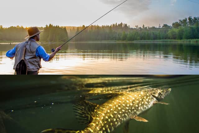 Yorkshire has a wide array of idyllic lake and scenic ponds, making it a great destination to do a spot of fishing