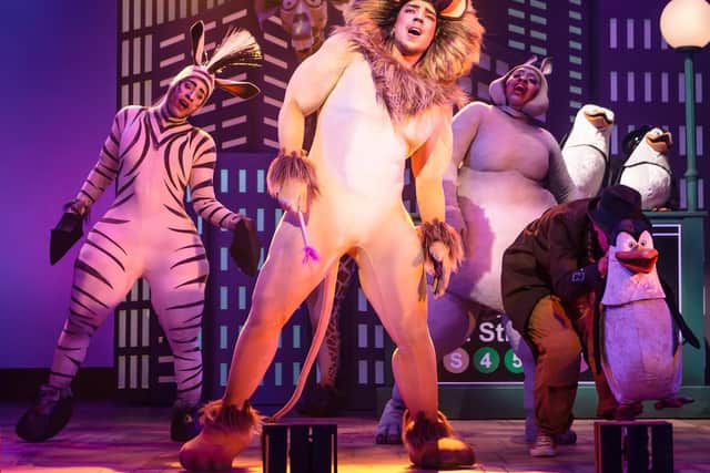 Matt Terry plays Alex.
Matt said: Im having such an amazing time touring in Madagascar the Musical, the audiences have been fantastic.
The show brings together everything you will know and love from the DreamWorks film with an immense score and amazing sets, costumes and
puppets.
Its an awesome night out for the whole family and I hope to see you there!.