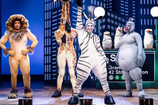 Antoine Murray-Straughan plays Marty the Zebra