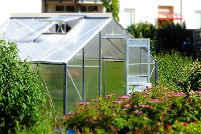 How to keep a greenhouse