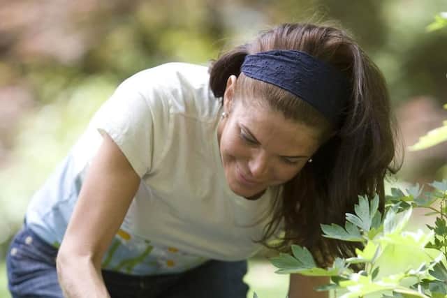 Tips for new gardeners