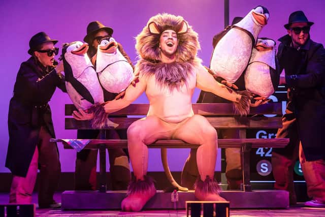 Matt Terry as Alex the Lion in Madagascar - The Musical