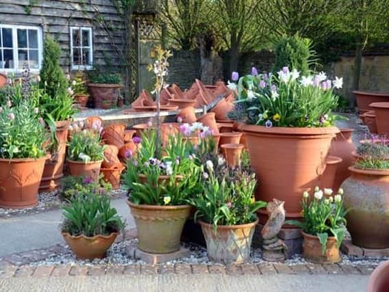 Use terracotta pots