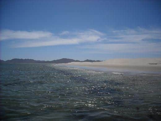 With water temperatures averaging 27C, the Sea of Cortez offers a beautiful retreat for those who feel more comfortable on sea than land. 

Take a snorkel and immerse yourself in the diverse marine life. The UNESCO-protected area provides a continuous visual feast for the eyes.