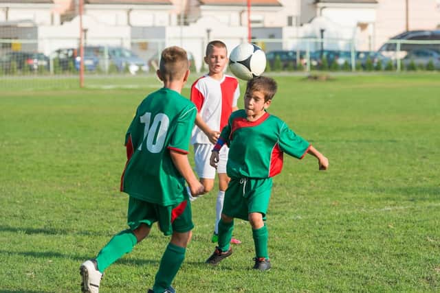 The ban has been introduced with immediate effect in England, Northern Ireland and Scotland (Photo: Shutterstock)