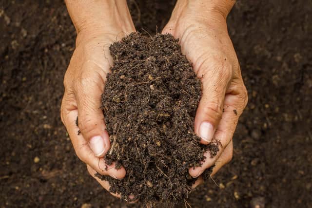 Would you want a compost funeral? (Photo: Shutterstock)