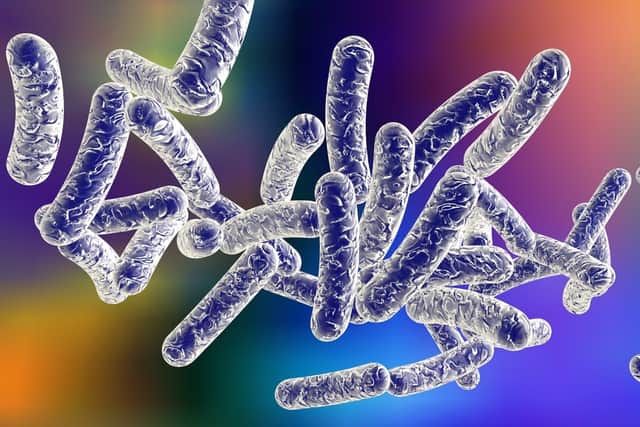 Legionnaires' disease is a lung infection that you can catch by inhaling droplets of water (Photo: Shutterstock)