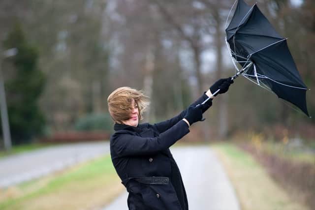 The UK is set to be batted by Storm Ellen (Photo: Shutterstock)