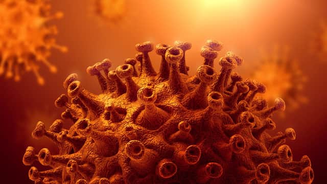 Kent Covid variant predicted to become the world’s most dominant strain (Photo: Shutterstock)
