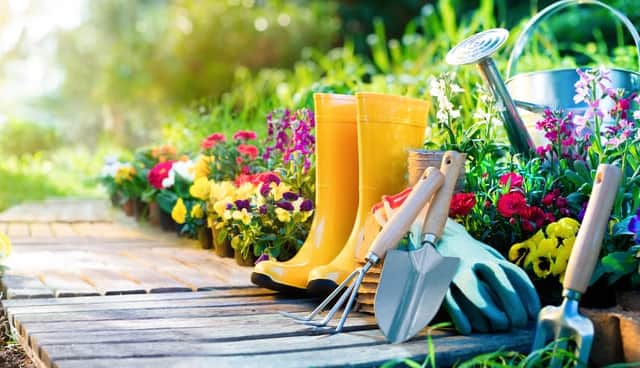 Act now to get garden in tip-top shape for spring and summer. (Picture: Shutterstock)